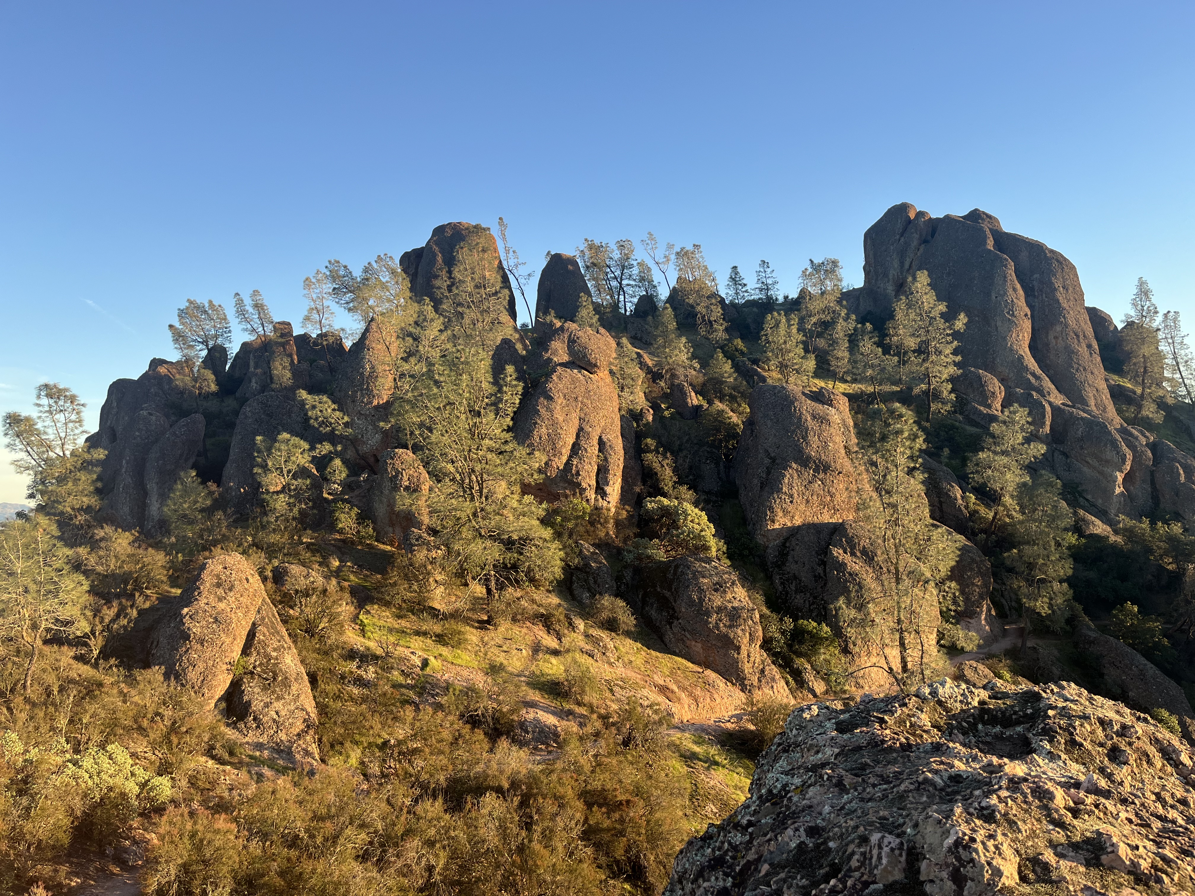 Rock formations in Pinnacles